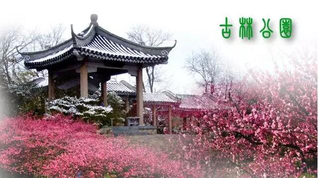<b>【南京三門灣電器】周日4.24古林公園賞牡丹花、</b>